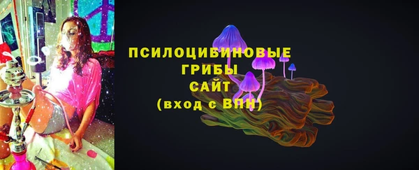 прущие грибы Балабаново