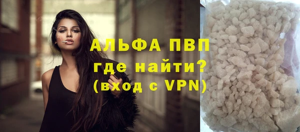 прущие грибы Балабаново