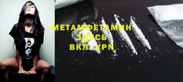 прущие грибы Балабаново