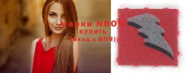 прущие грибы Балабаново