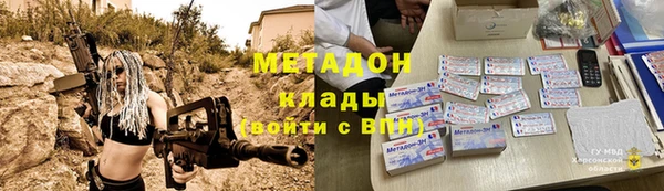 прущие грибы Балабаново