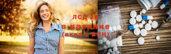 прущие грибы Балабаново