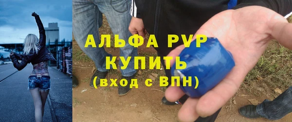 не бодяженный Сосновый Бор